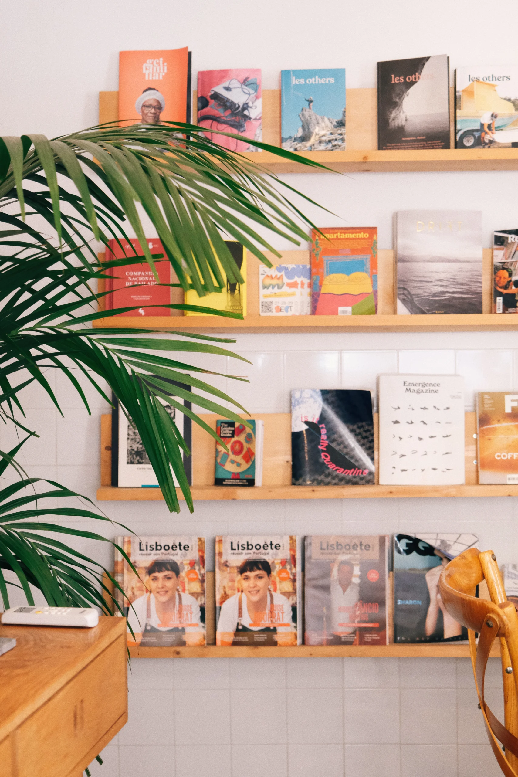 Books and magazines displayed on shelves with a plant in the foreground at Hello, Kristof